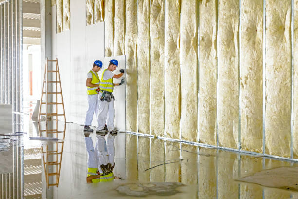 Best Commercial Insulation in Winfield, IL